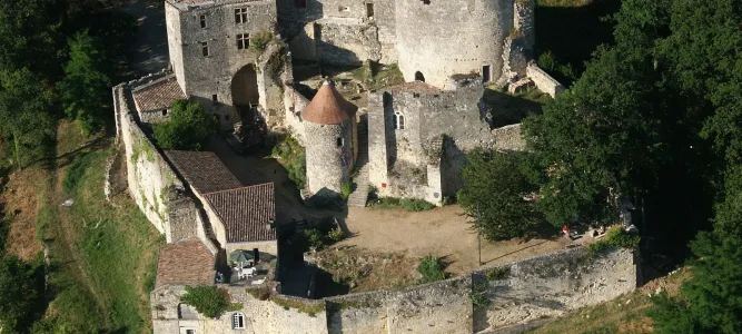 Château de Langoiran