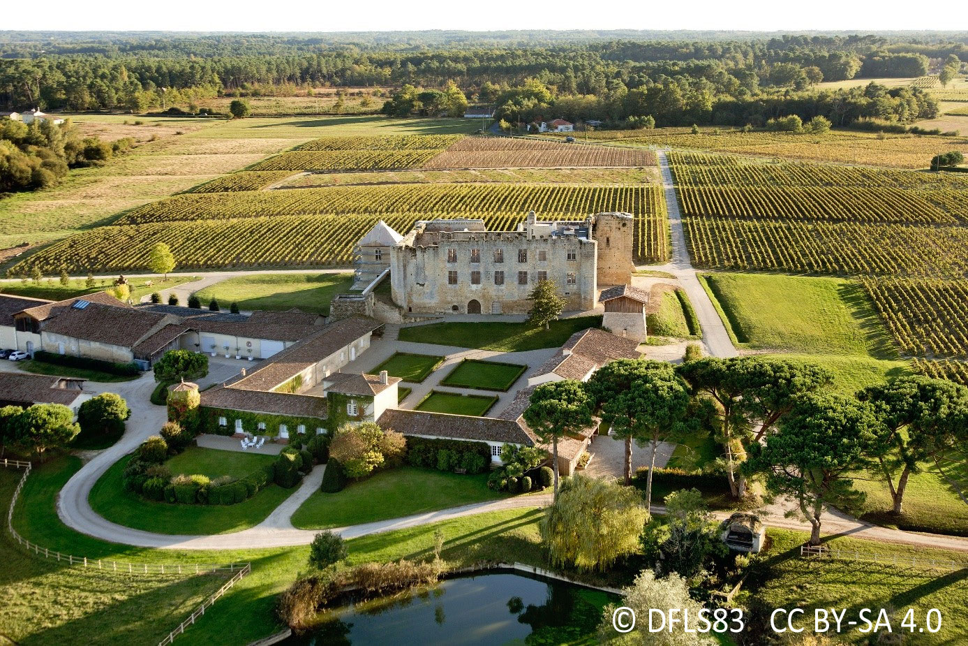 Château de Fargues