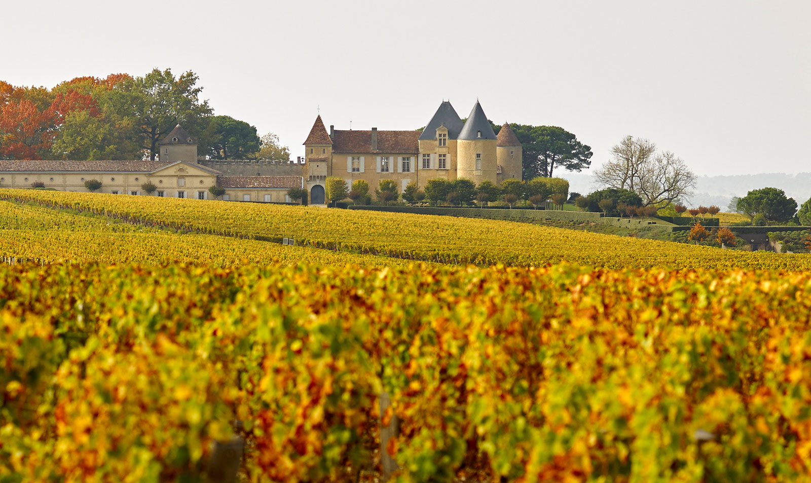 Yquem Castle