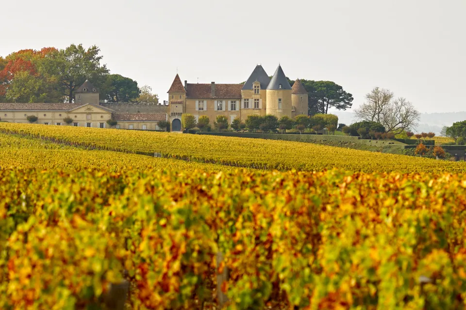 Château d'Yquem