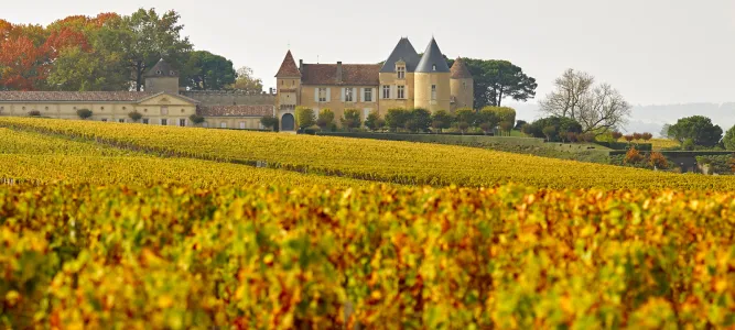 Château d'Yquem