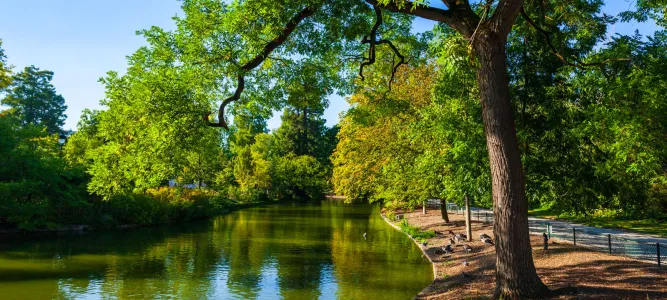 Jardin public