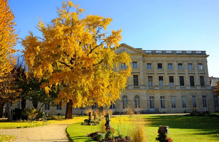 Jardin de la Mairie