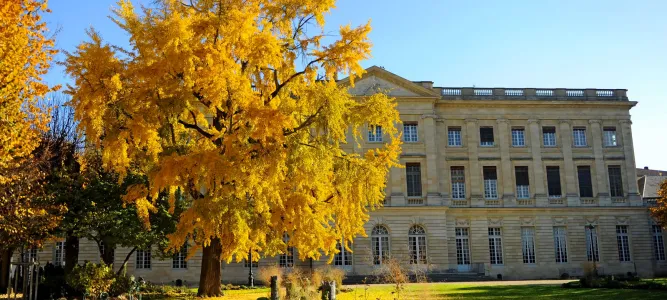Town Hall Garden