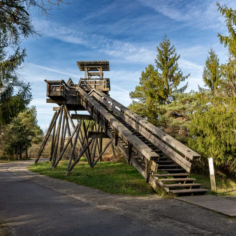 Bourgailh site