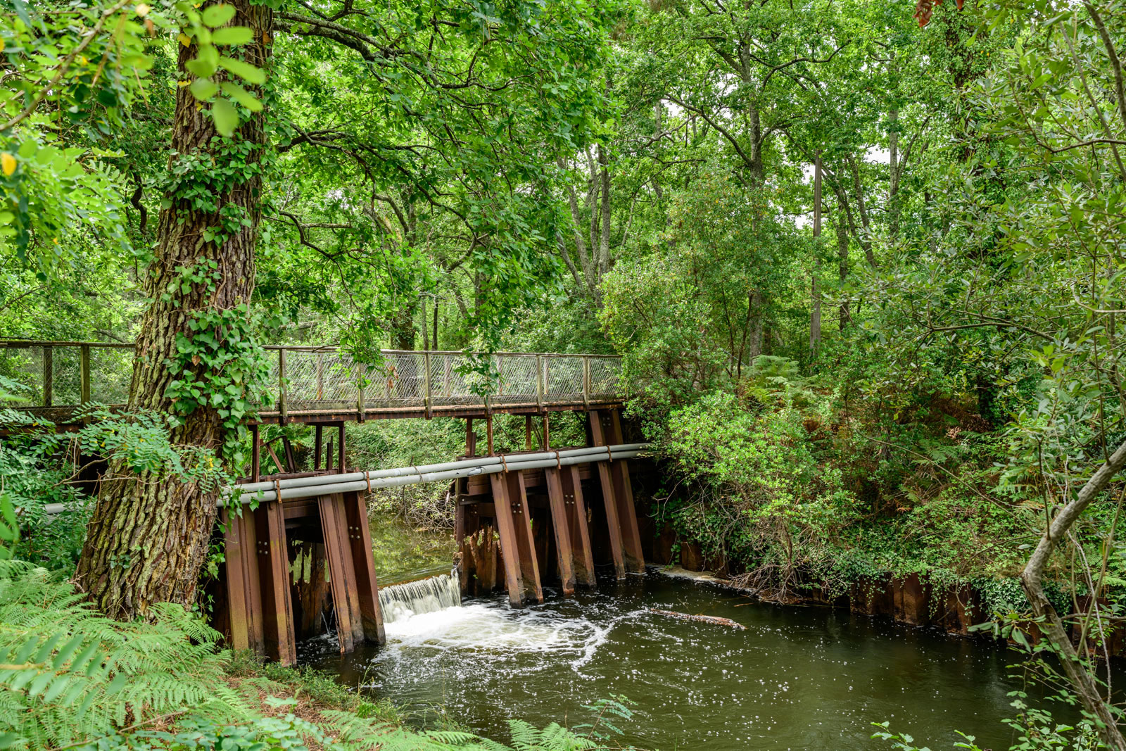 Parc de la Chêneraie