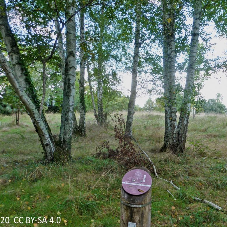 Domaine de la Burthe - Floirac