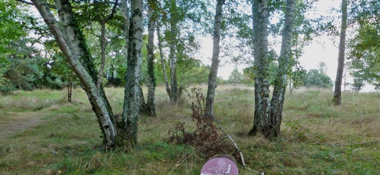 Domaine de la Burthe - Floirac