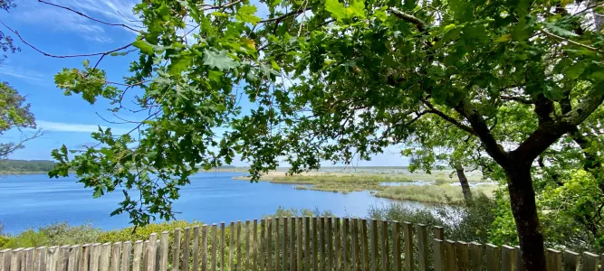 Réserve naturelle nationale de l'étang de Cousseau