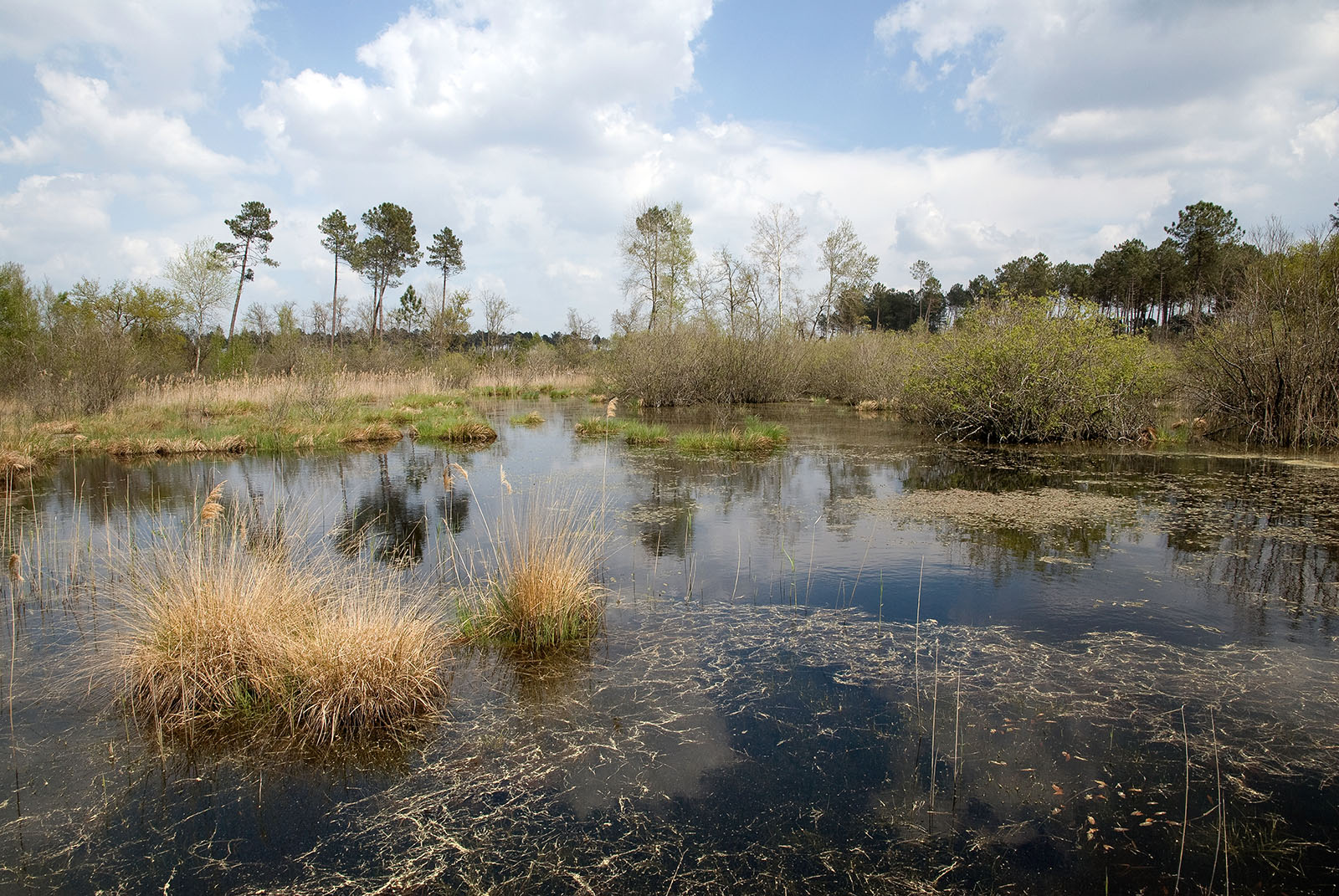 Lagunes du Gât Mort