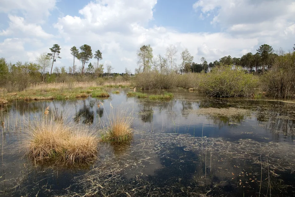 Lagunes du Gât Mort