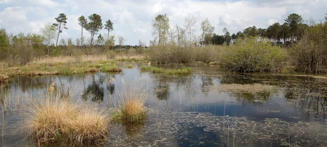 Lagunes du Gât Mort