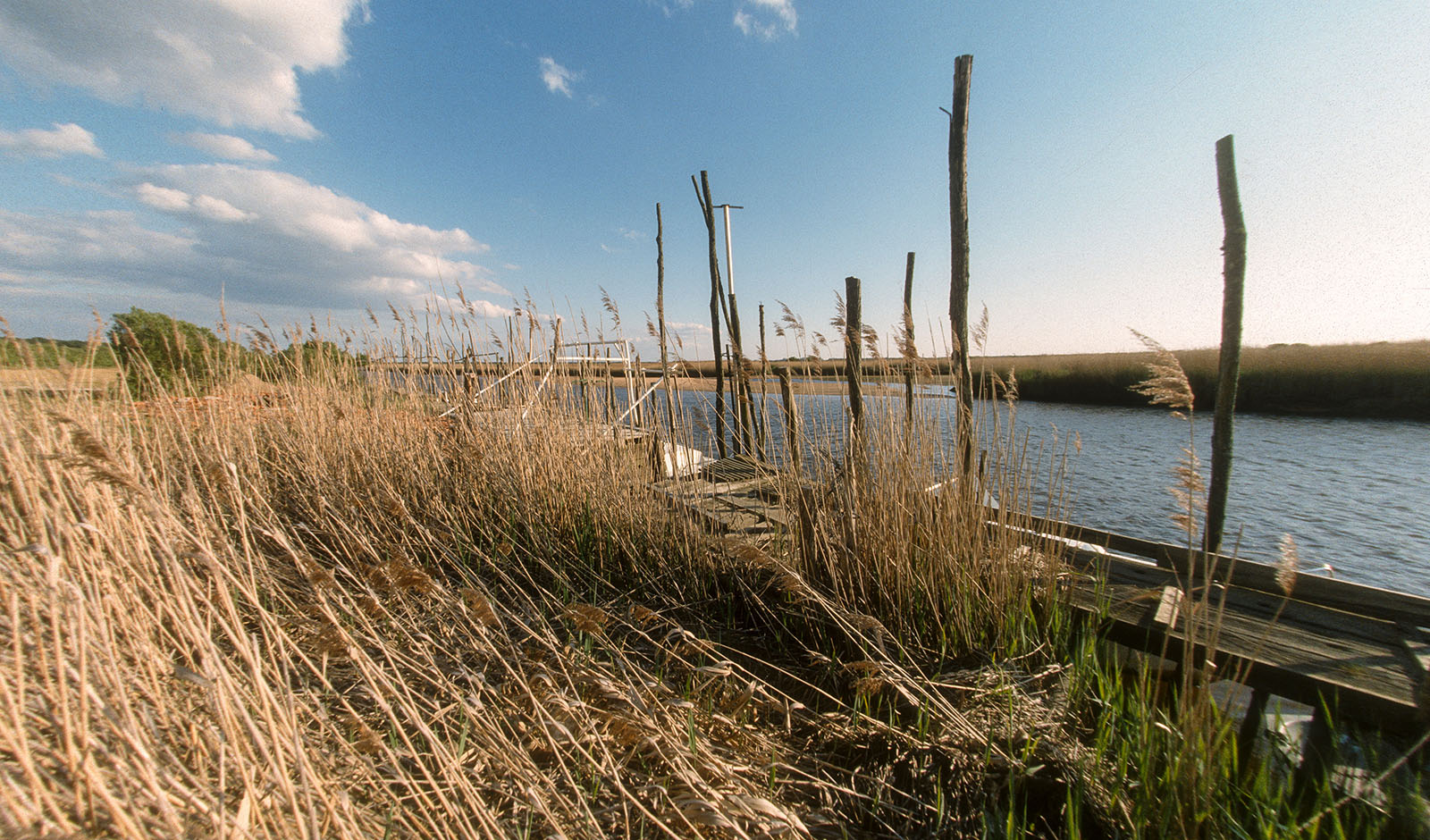 Delta de la Leyre