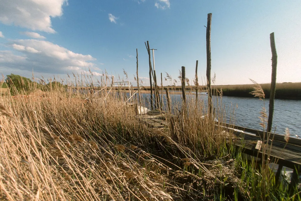 Delta de la Leyre