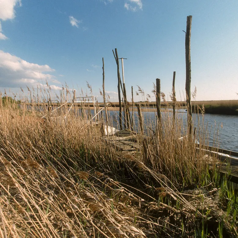 Delta de la Leyre