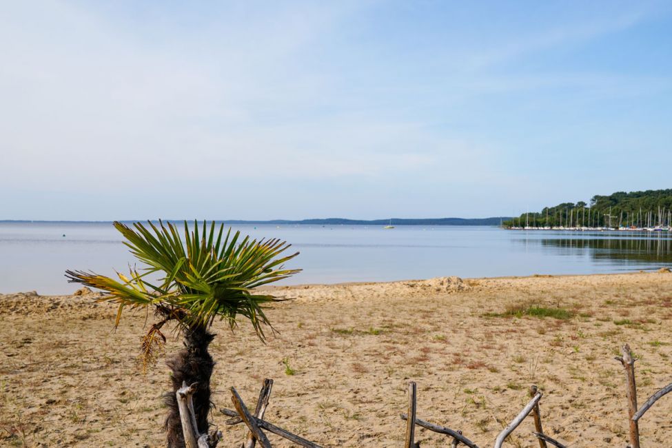 Lac de Lacanau
