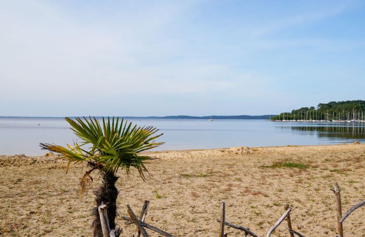 Lac de Lacanau
