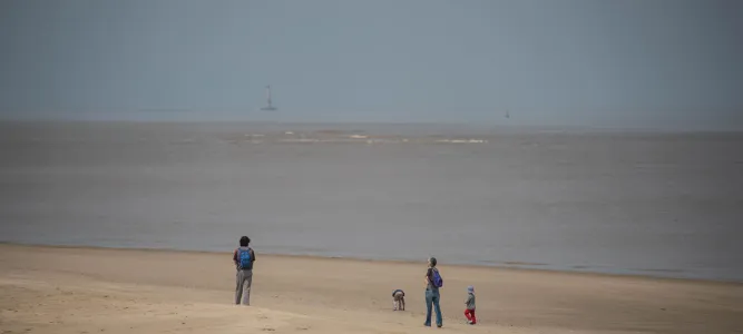 L'Estuaire de la Gironde et ses îles
