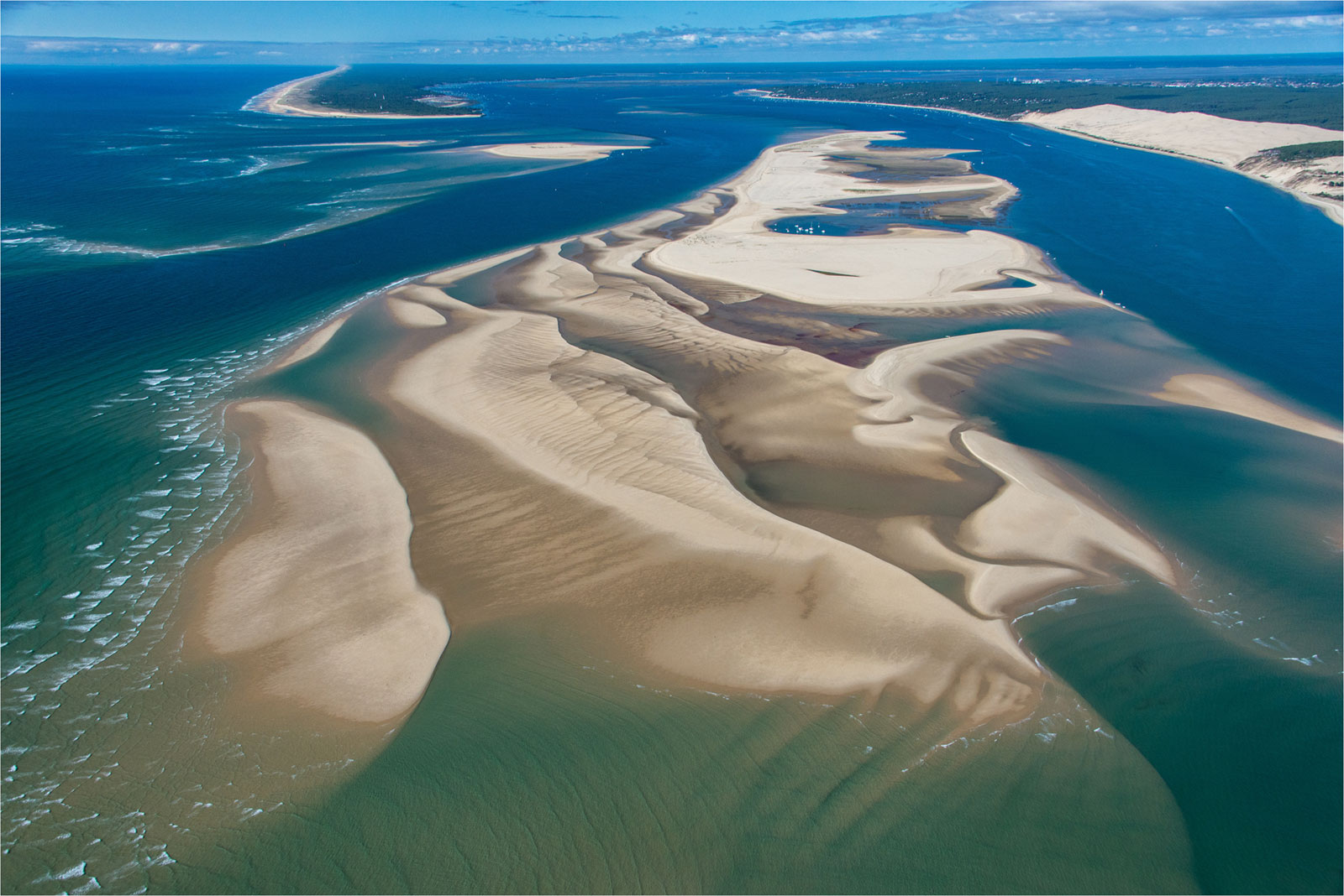 Le banc d'Arguin - Nature Reserve in La Teste-de-Buch - Guide Bordeaux Gironde