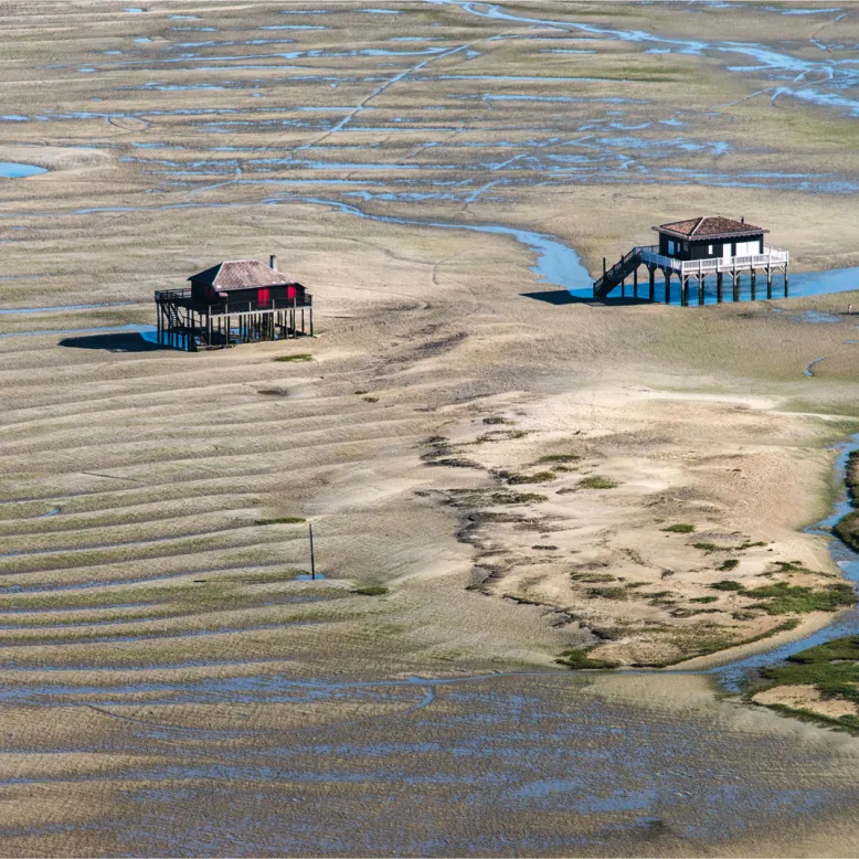 L'Ile aux Oiseaux
