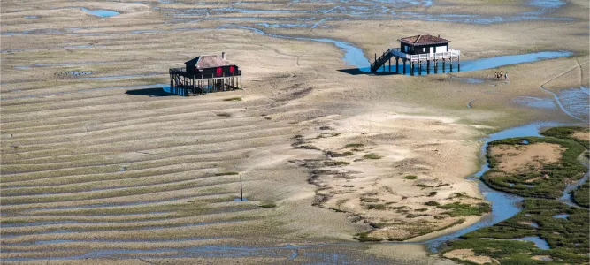 L'Ile aux Oiseaux