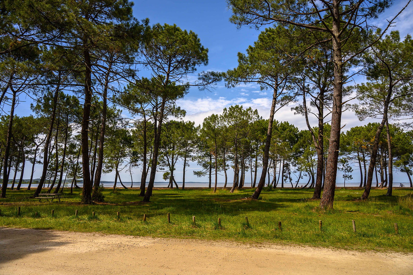 Lac de Cazaux Sites Naturels à La TestedeBuch Guide Bordeaux Gironde Lac de Cazaux Sites Naturels à La TestedeBuch Guide Bordeaux Gironde