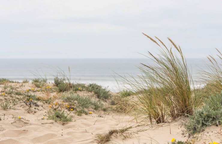 Plages océanes