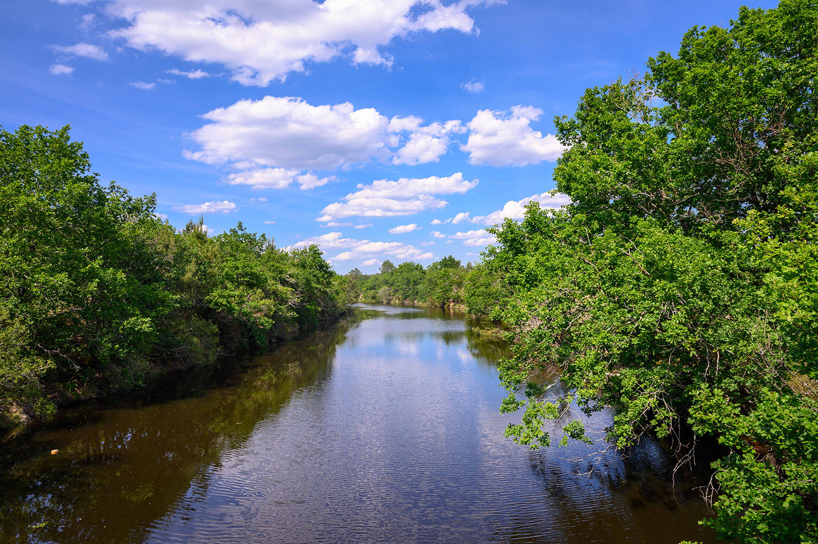 Le canal du Porge