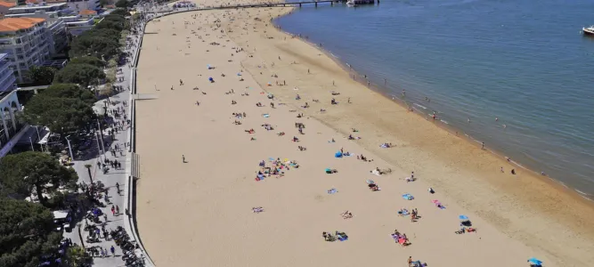 Le Bassin d'Arcachon