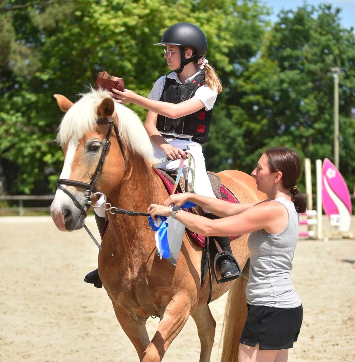 Haras de Croix d'Hins