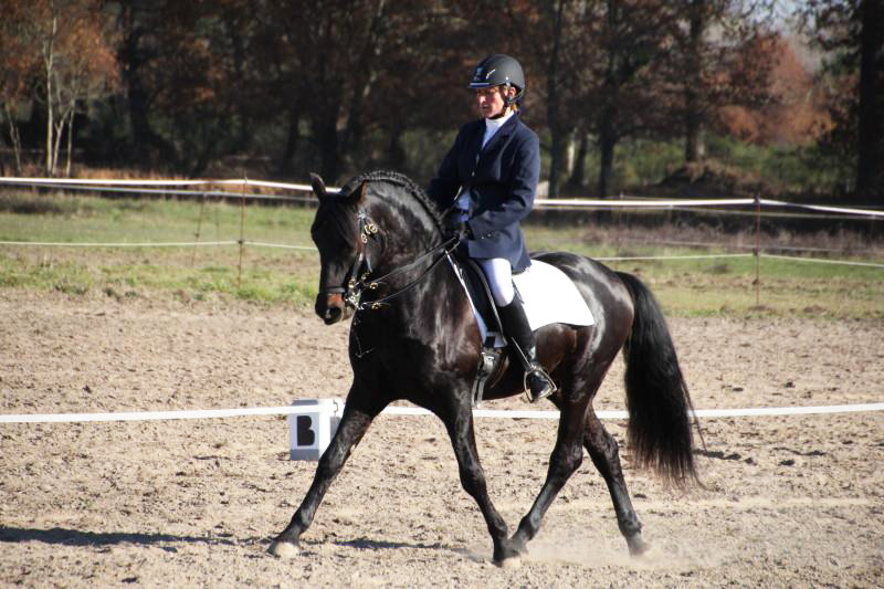 Equestrian center La Réole