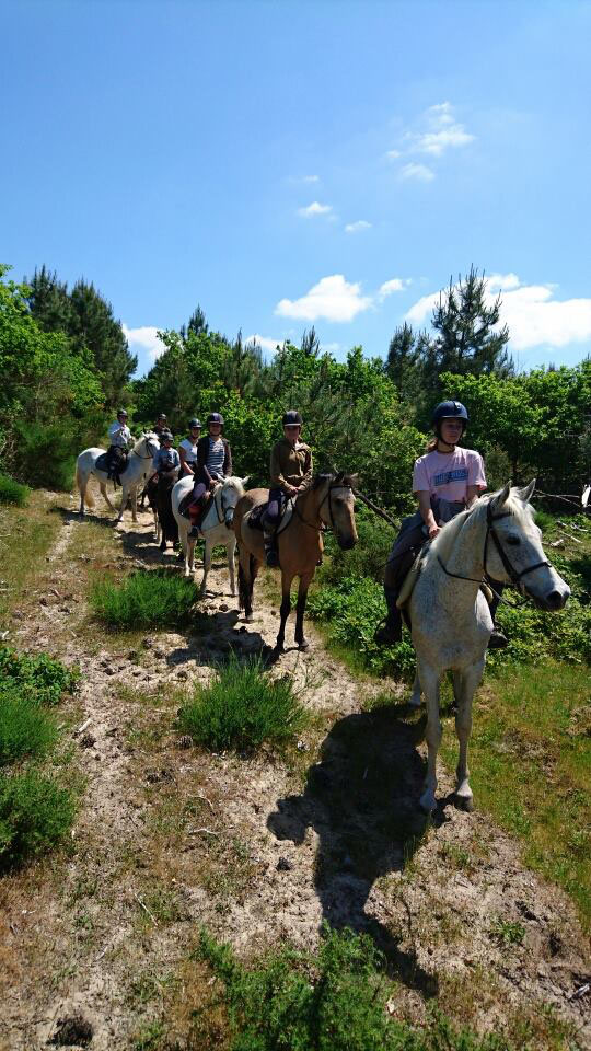 Centre Equestre Du Cardin Equestrian Centres In Hourtin Guide Bordeaux Gironde