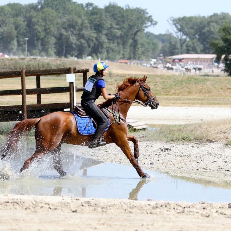 Mios Equestrian Center