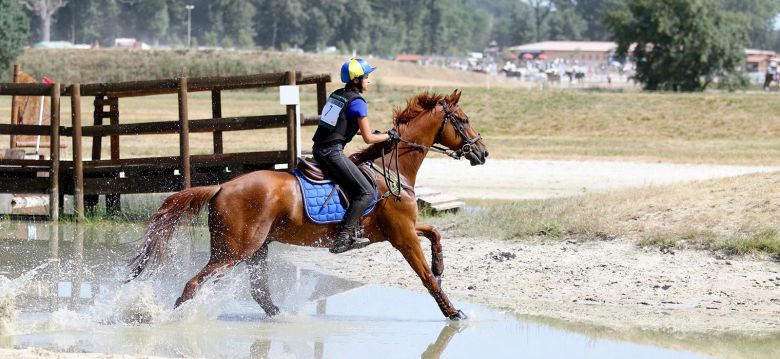 Mios Equestrian Center