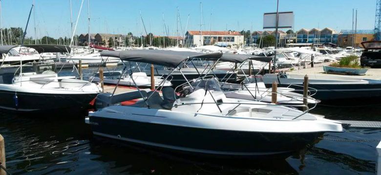 Sea Fly