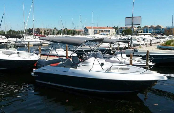 Sea Fly