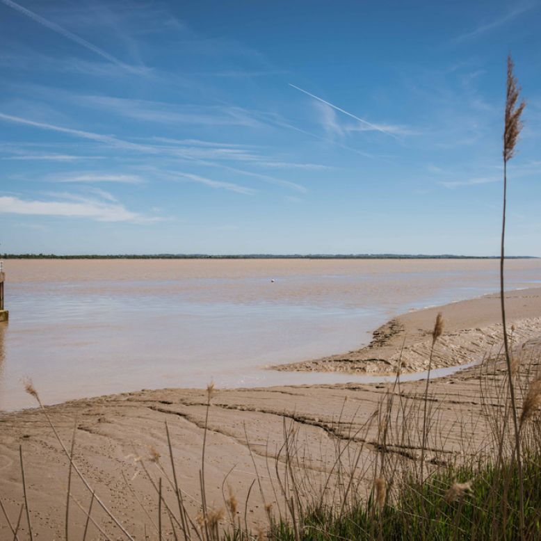 Pauillac