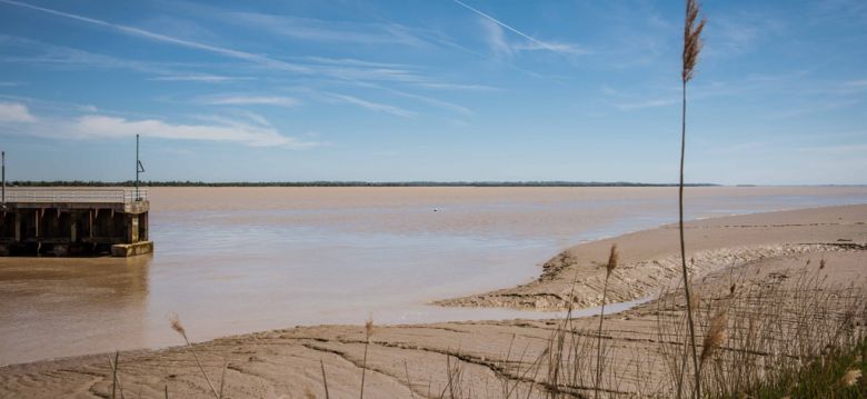 Pauillac