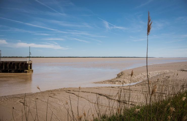 Pauillac