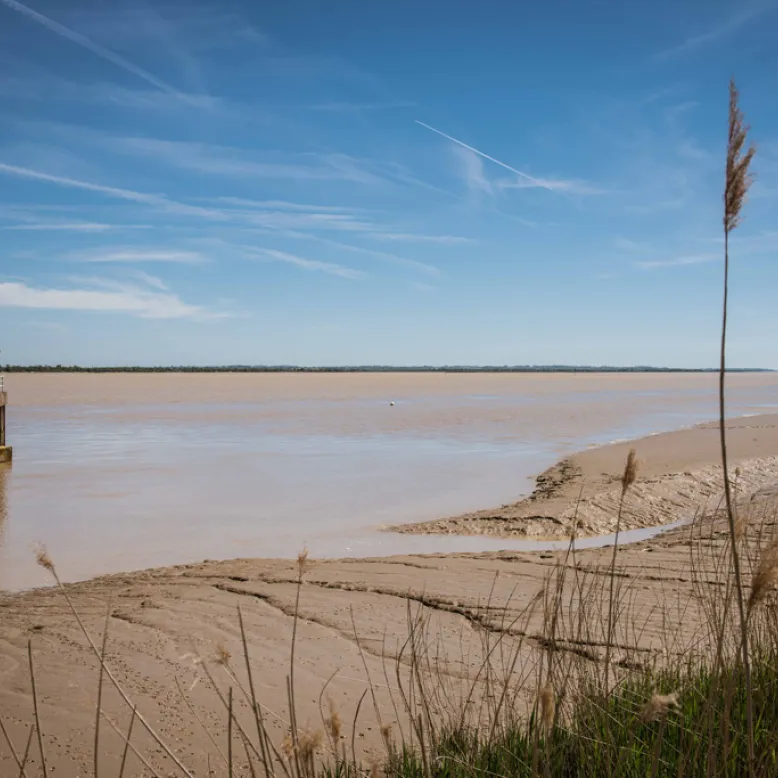 Pauillac