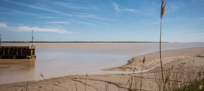 Pauillac