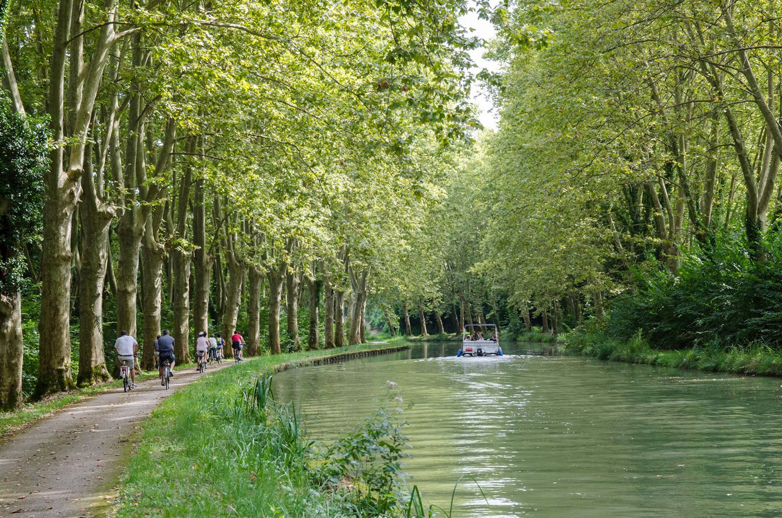 Les Cycles Du Canal Locations De V los De Toutes Les Tailles Pr s De 