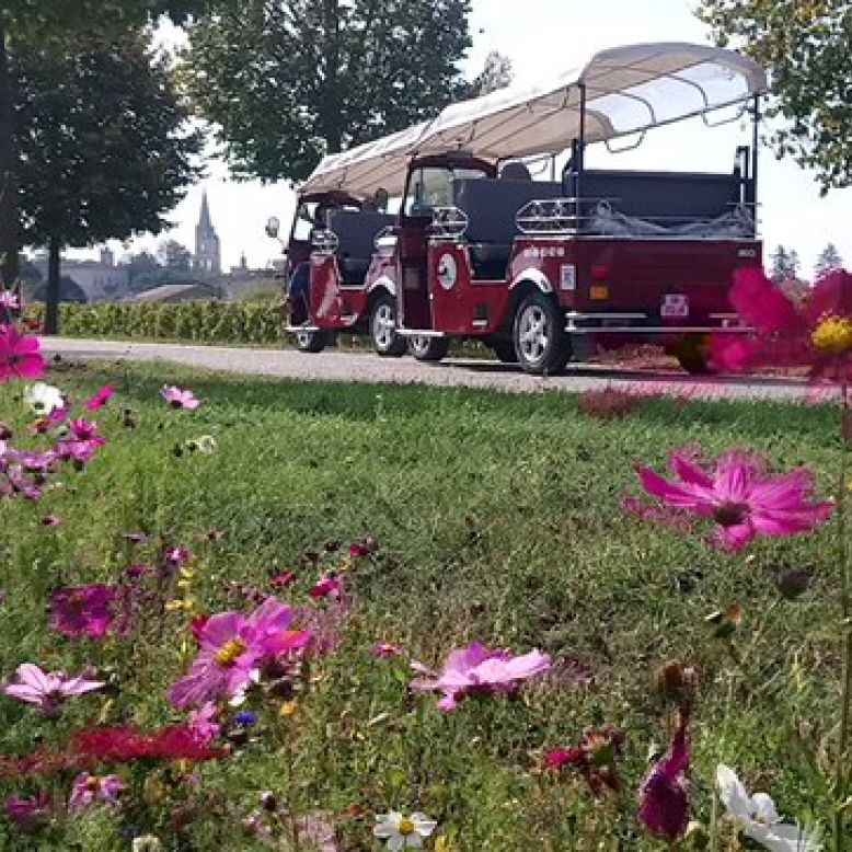 Balades en Moto / Tuk Tuk Guide Bordeaux Gironde