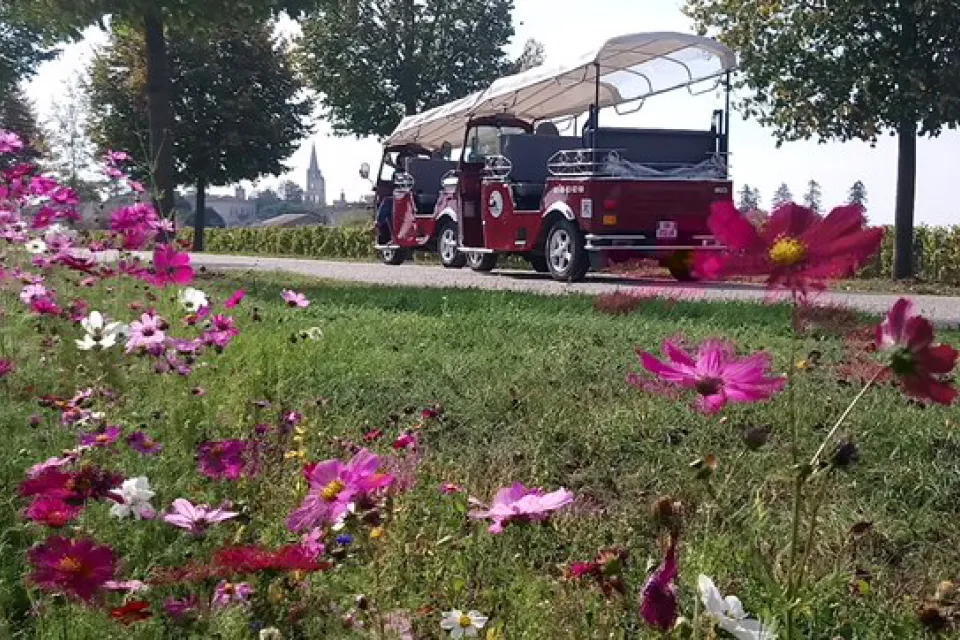 Tuk Tour Event's - St Emilion