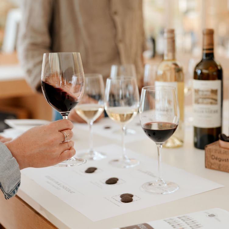 Venez visiter... - Le Vignoble du Château la Louvière