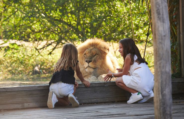 Bordeaux Pessac Zoo
