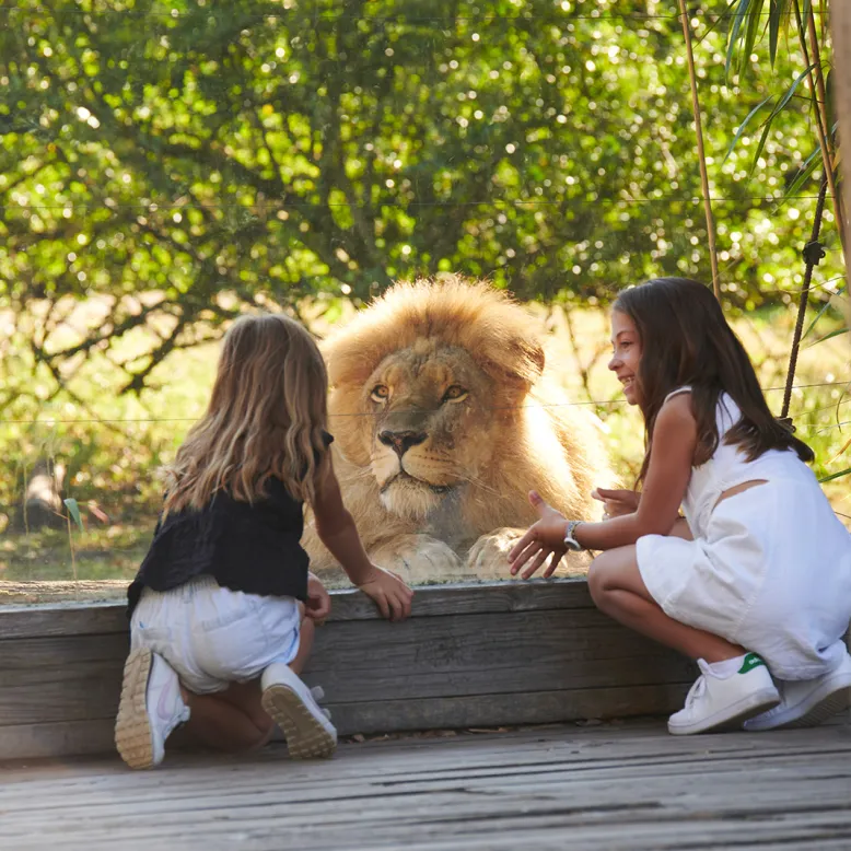 Zoo de Bordeaux Pessac