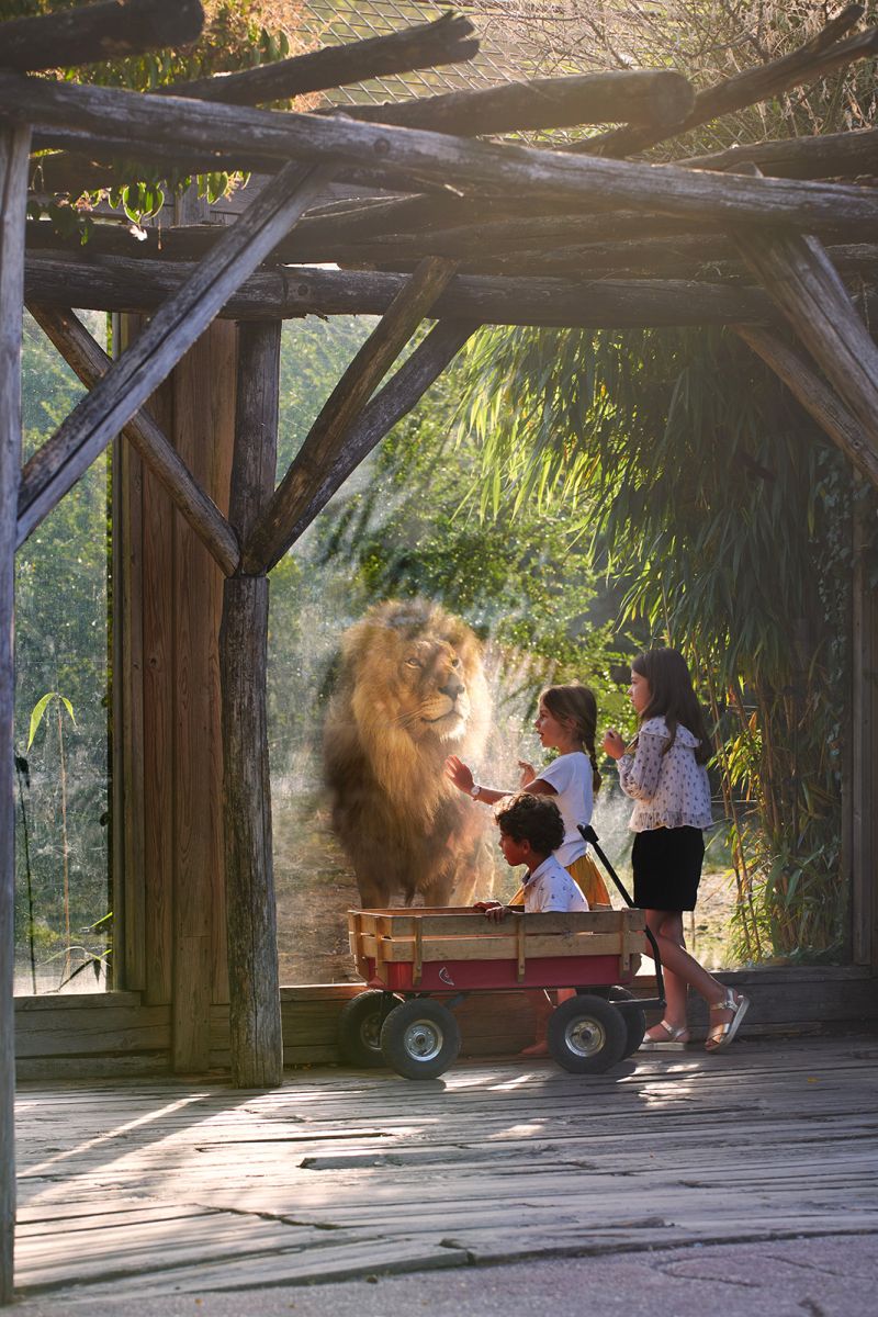 Parc animalier à Bordeaux, Zoo avec Activités pour les enfants