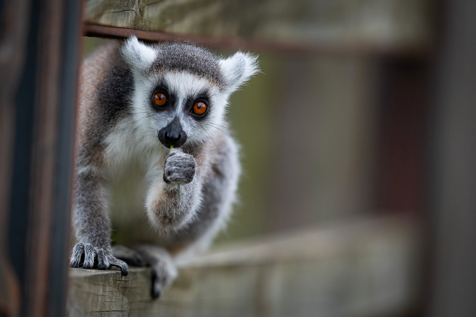 Parc animalier à Bordeaux, Zoo avec Activités pour les enfants