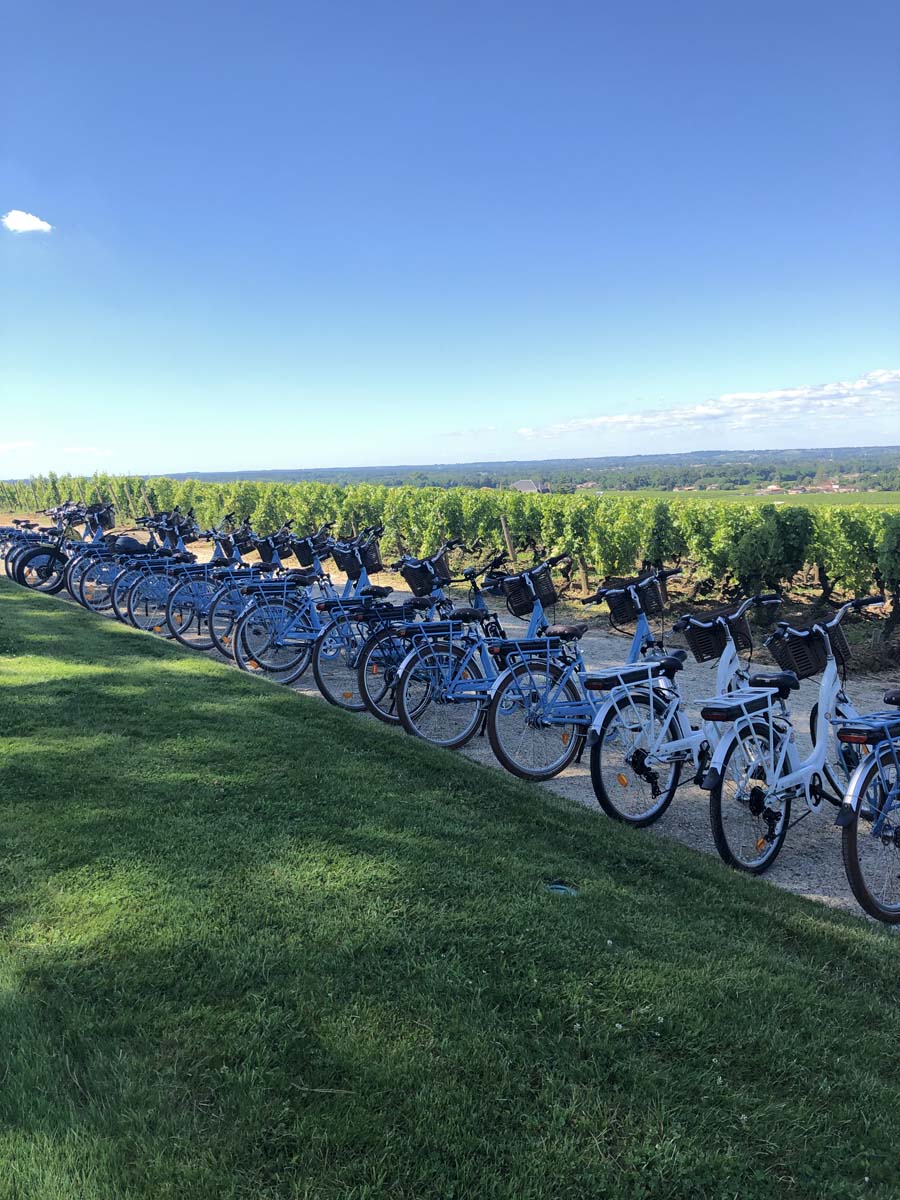 Les Cycles du Bazadais - Maison du Sauternes